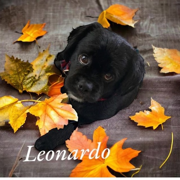 Meet your Posher, Christine - Picture 4 of 6